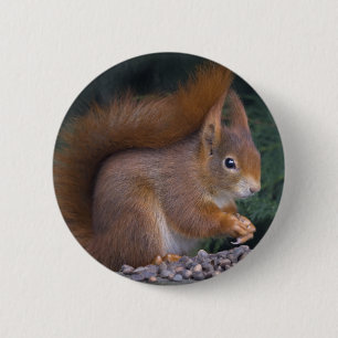 Nut Brunch Badge