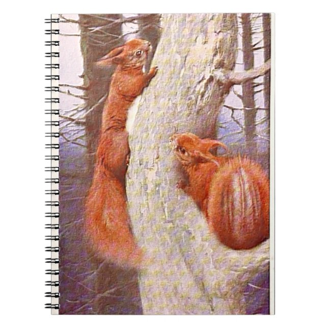 "Nut Case" Notebook (Front)