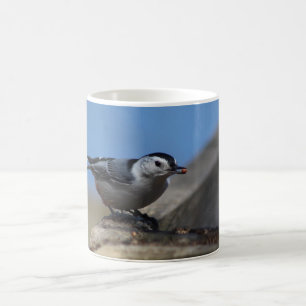 Nut Hatch mug