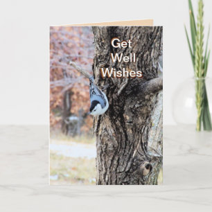 Nuthatch 7562-FV- customise any occasion Card