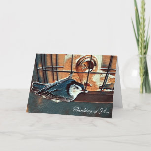 Nuthatch at Feeder - Blank Thinking of You Card