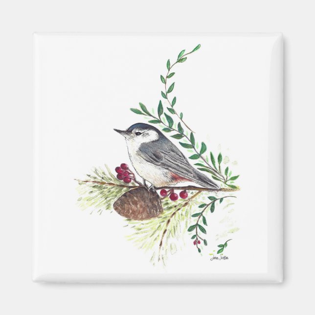 Nuthatch Bird Art Magnet (Front)