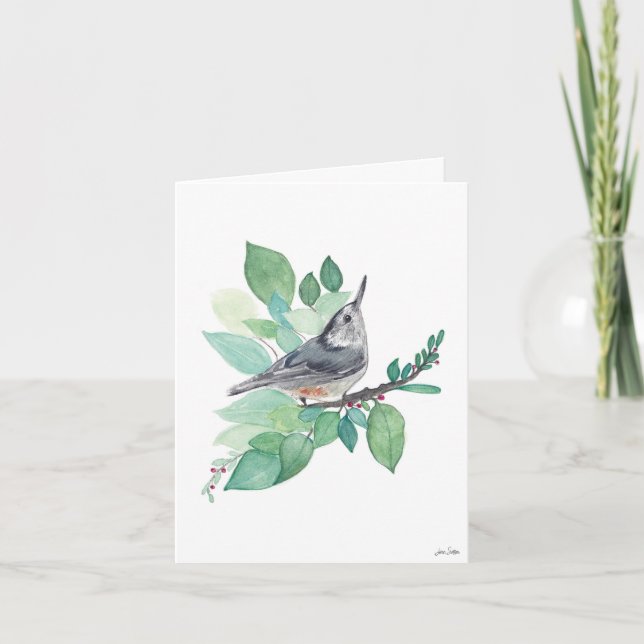 Nuthatch Bird  Card (Front)