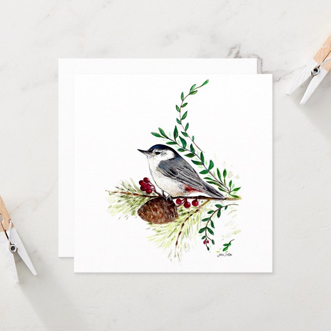 Nuthatch Bird Painting Card (Nuthatch Bird Painting Card from Jenn's Emporium. )
