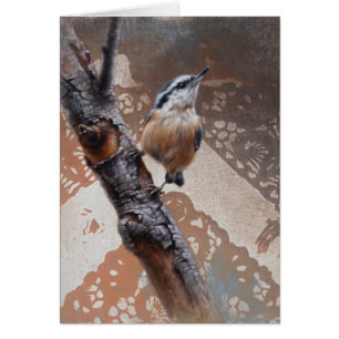 Nuthatch Blank Card by Andrew Denman