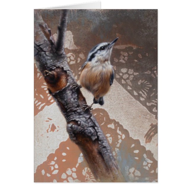 Nuthatch Blank Card by Andrew Denman (Front)