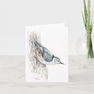 Nuthatch Card
