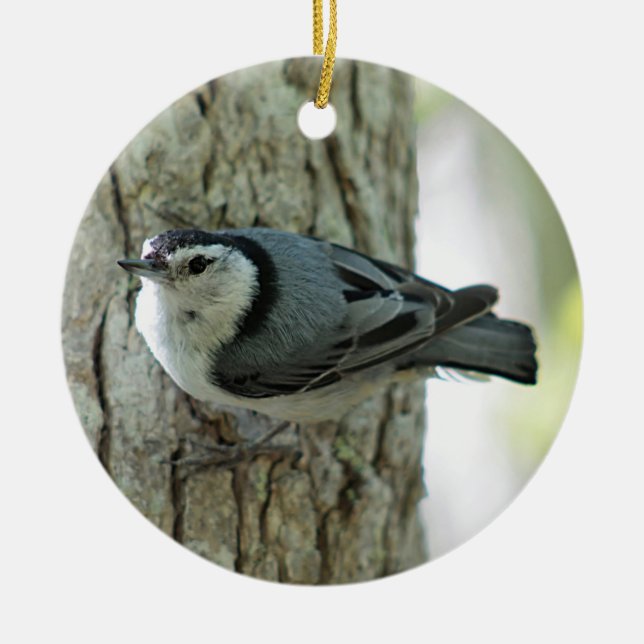 Nuthatch Ceramic Ornament (Front)
