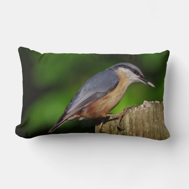 Nuthatch Cushion (Front)