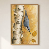 Nuthatch on a Birch Trunk Watercolour Poster