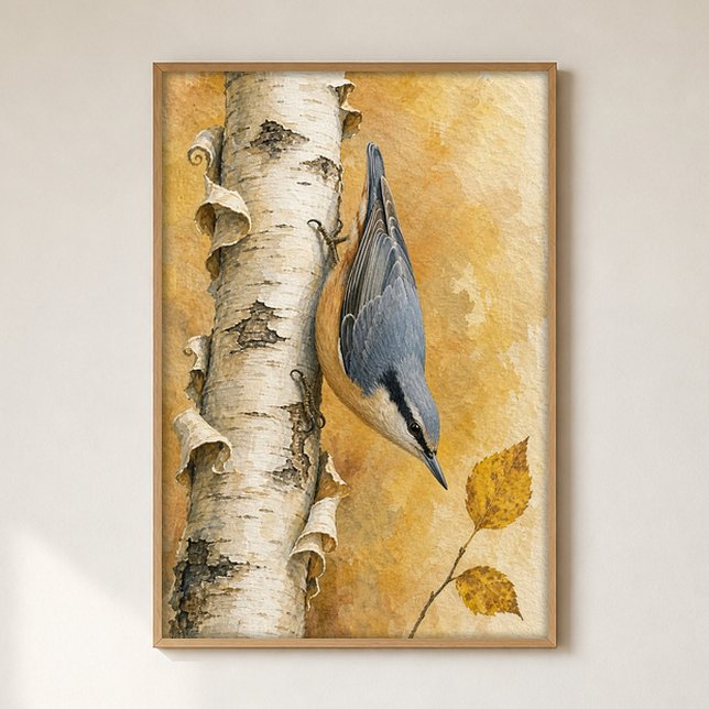 Nuthatch on a Birch Trunk Watercolour Poster (Shown framed for scale. Poster ships unframed; frames are an optional add-on.)