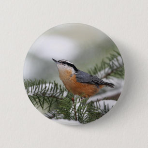 Nuthatch on Snowy Branch in Winter 6 Cm Round Badge