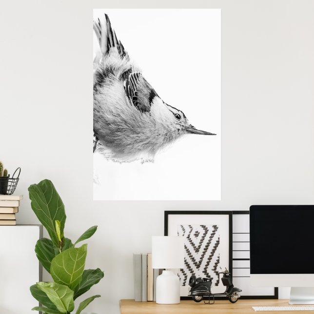 Nuthatch, White Bird Photography Poster (Home Office)