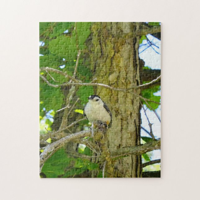 Nuthatch Wildlife Michigan. Jigsaw Puzzle (Vertical)