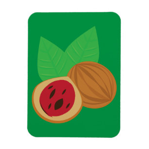 Nutmeg Magnet