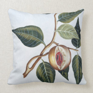 Nutmeg, plate 7, from 'Collection Precieuse et Enl Cushion