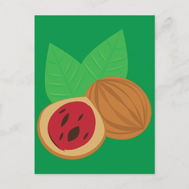 Nutmeg Postcard (Front)