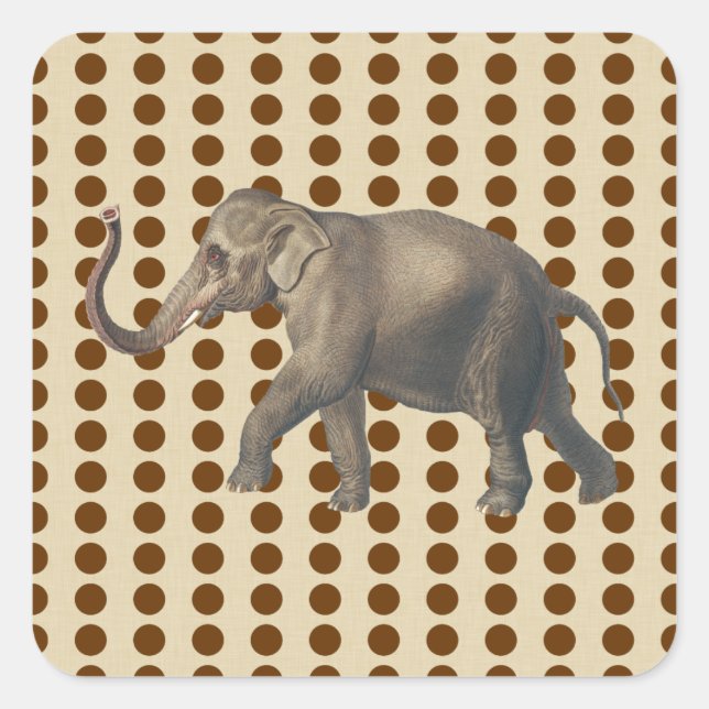 Nutmeg Spice Moods Dots with Elephant Square Sticker (Front)