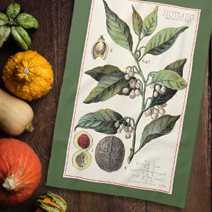 NUTMEG - VINTAGE BOTANICAL ILLUSTRATION TEA TOWEL