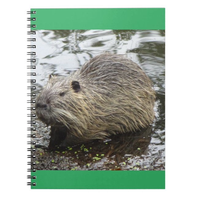 Nutria notebook (Front)
