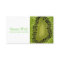 Nutritionist Kiwi Business Card