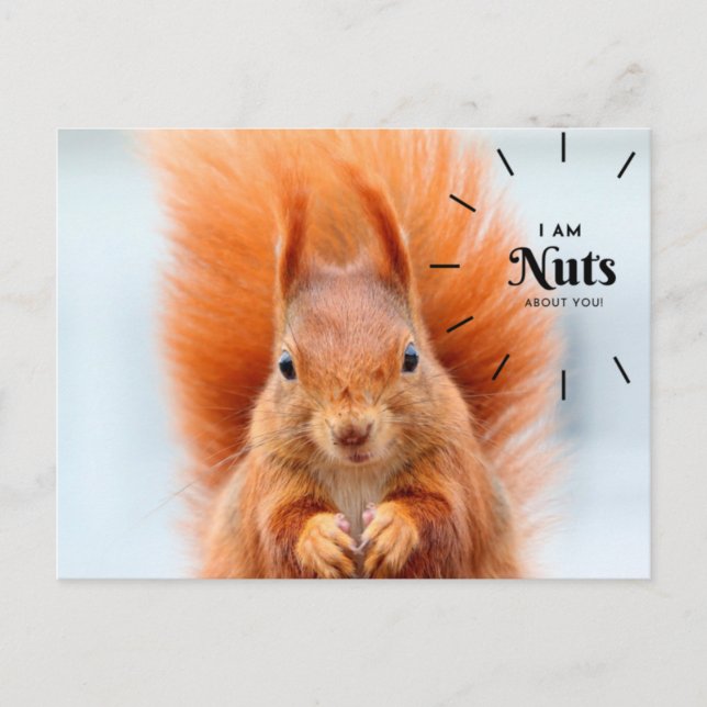 Nuts About You Postcard (Front)