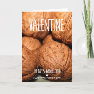 Nuts about you Valentine's Day Holiday Card