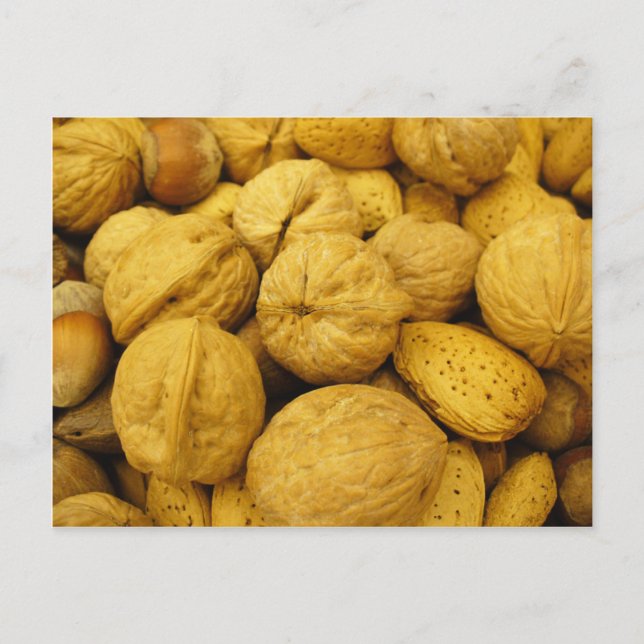 Nuts Postcard 001 (Front)