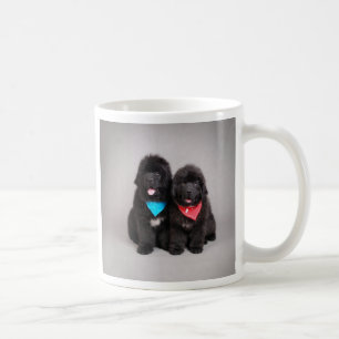 Nuwfie brothers coffee mug