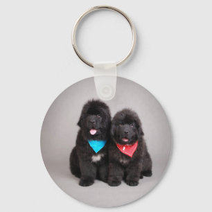 Nuwfie brothers key ring