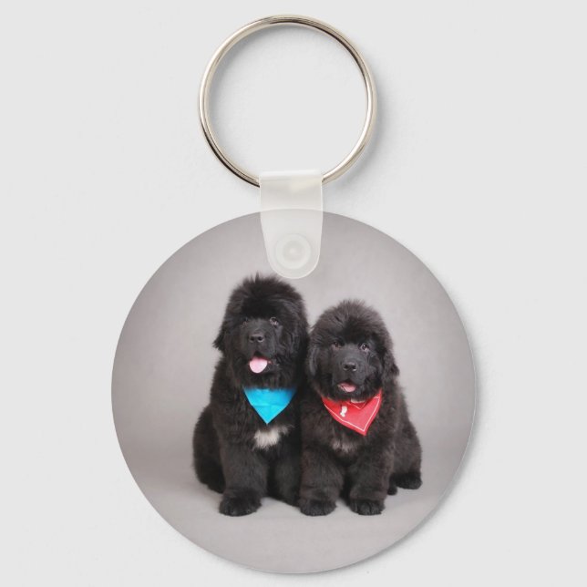 Nuwfie brothers key ring (Front)