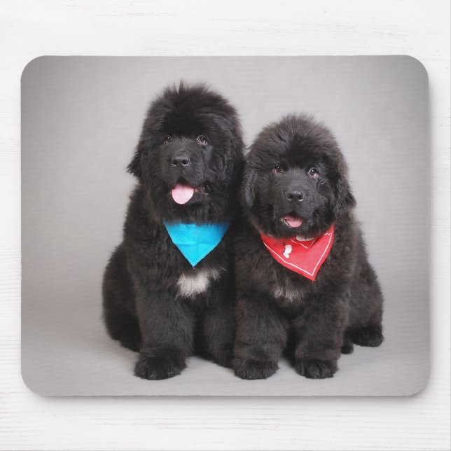 Nuwfie brothers mouse pad (Front)