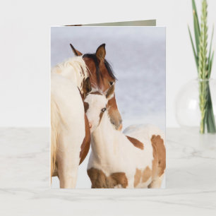 Nuzzle Wild Horse Greeting Card