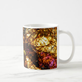 NWA 1877 coffee cup Meteorite thin section