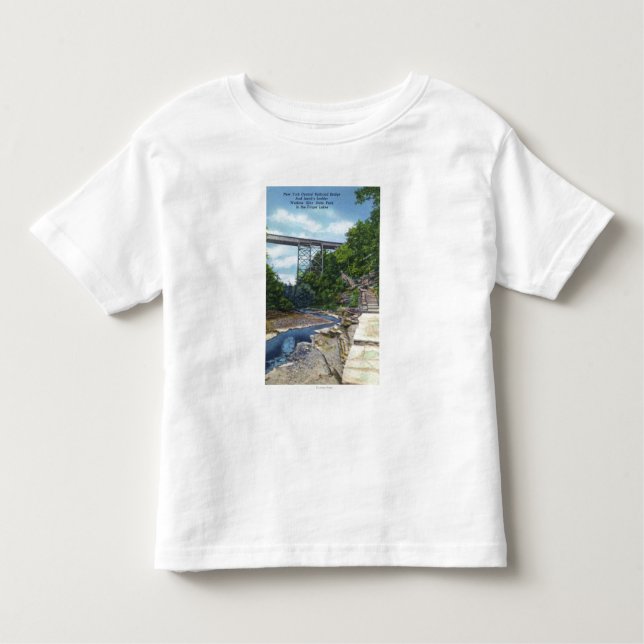 NY Central RR Bridge, Jacob's Ladder Toddler T-Shirt (Front)