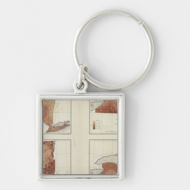 NY rainfall, population, elevation, temperature Key Ring (Front)