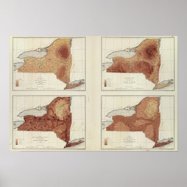NY rainfall, population, elevation, temperature Poster (Front)