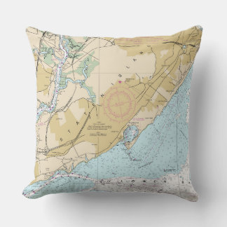 NY_Staten Island Cushion