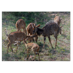 Nyala in Grasslands – Wildlife Moment Cutting Board
