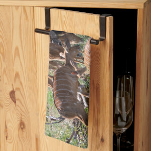 Nyala in Grasslands – Wildlife Photography Tea Towel