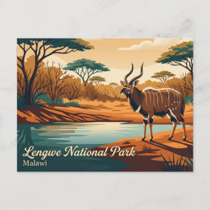 Nyala Viewing, Lengwe National Park Malawi Postcard