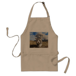 Nyankichi, a stray cat standard apron