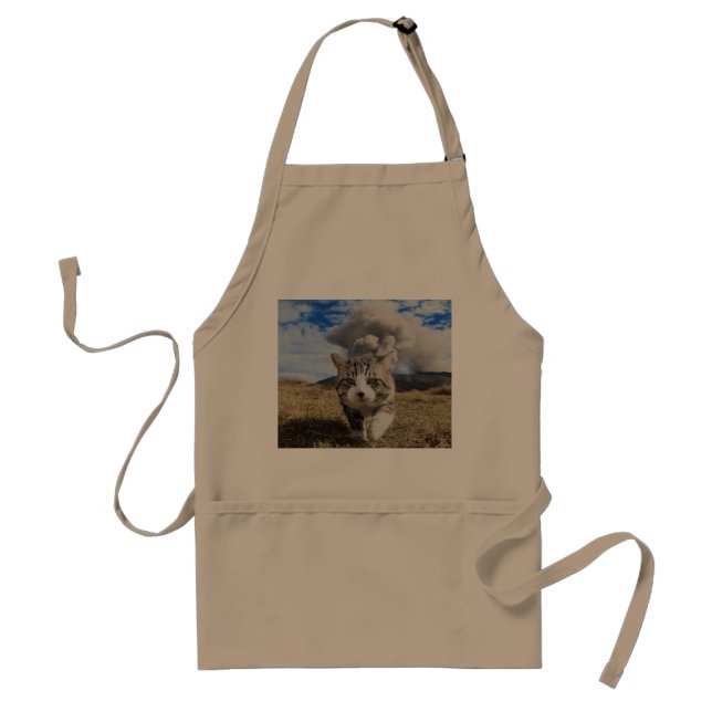 Nyankichi, a stray cat standard apron (Front)