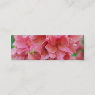 NYBG: No. 116 Mini Business Card