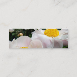 NYBG: No. 371 [Skinny] Mini Business Card