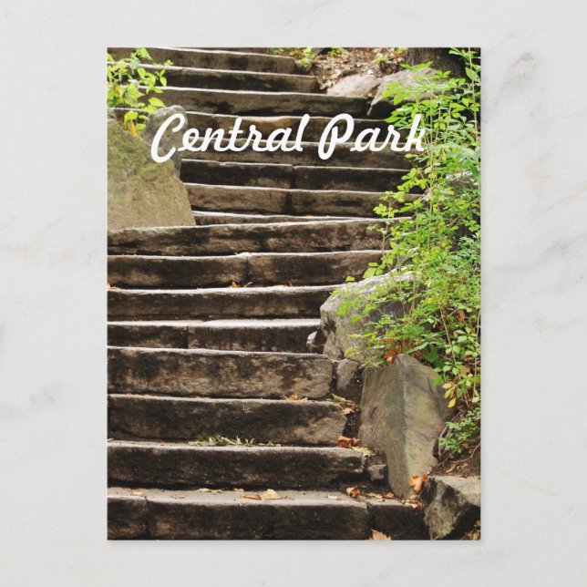 NYC Central Park Postcard (Front)
