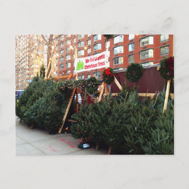 NYC Christmas Tree Stand Upper West Side Manhattan Holiday Postcard (Front)