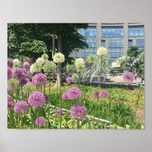 NYC Columbus Circle New York City Purple Allium Poster