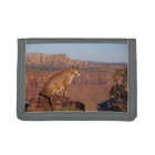 Nylon Tri-Fold Wallet/Wildlife Mountain Lion