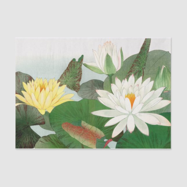 Nymphaea lotus , Decoupage Tissue Paper (Front)